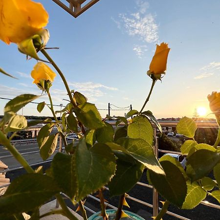 Corfu Airport Sweet Studio Dış mekan fotoğraf