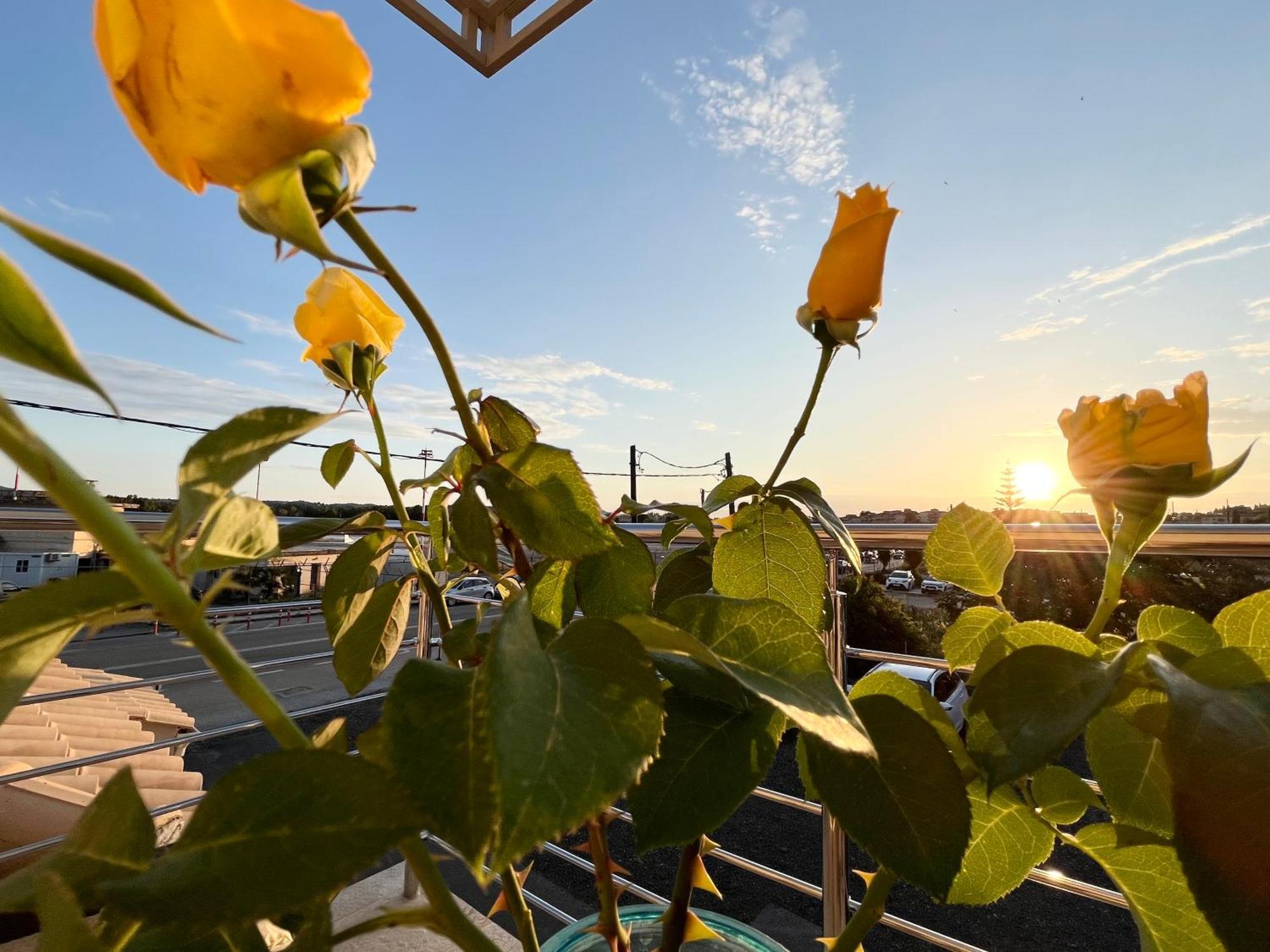 Corfu Airport Sweet Studio Dış mekan fotoğraf